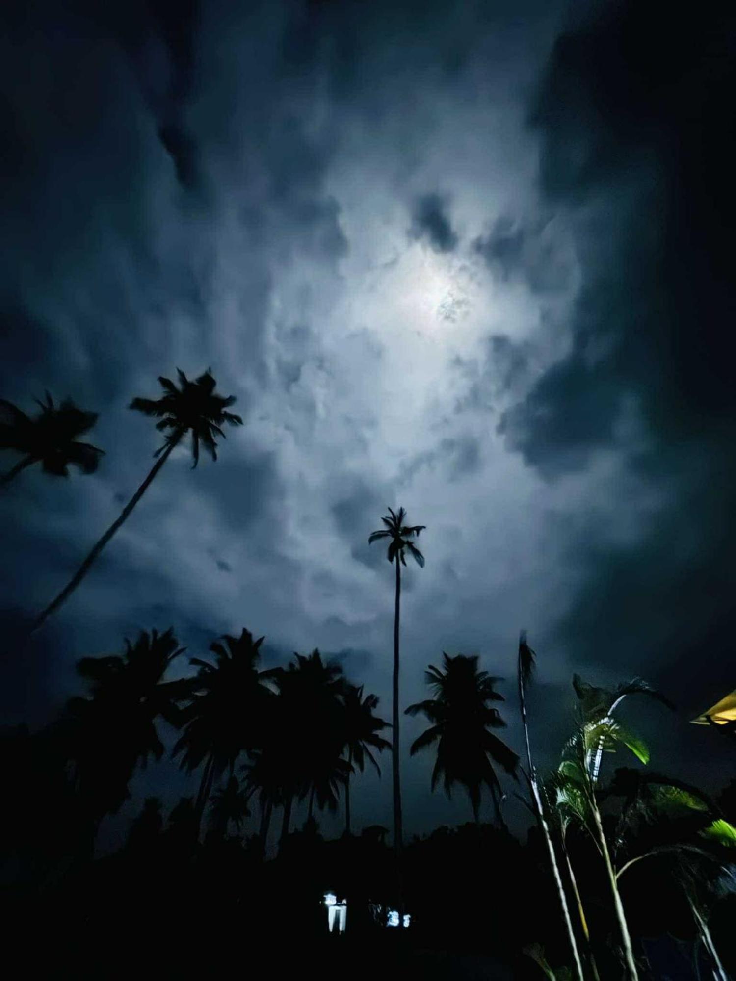 Coconut Tree Hill Rekawa Bed & Breakfast Tangalle Exterior foto