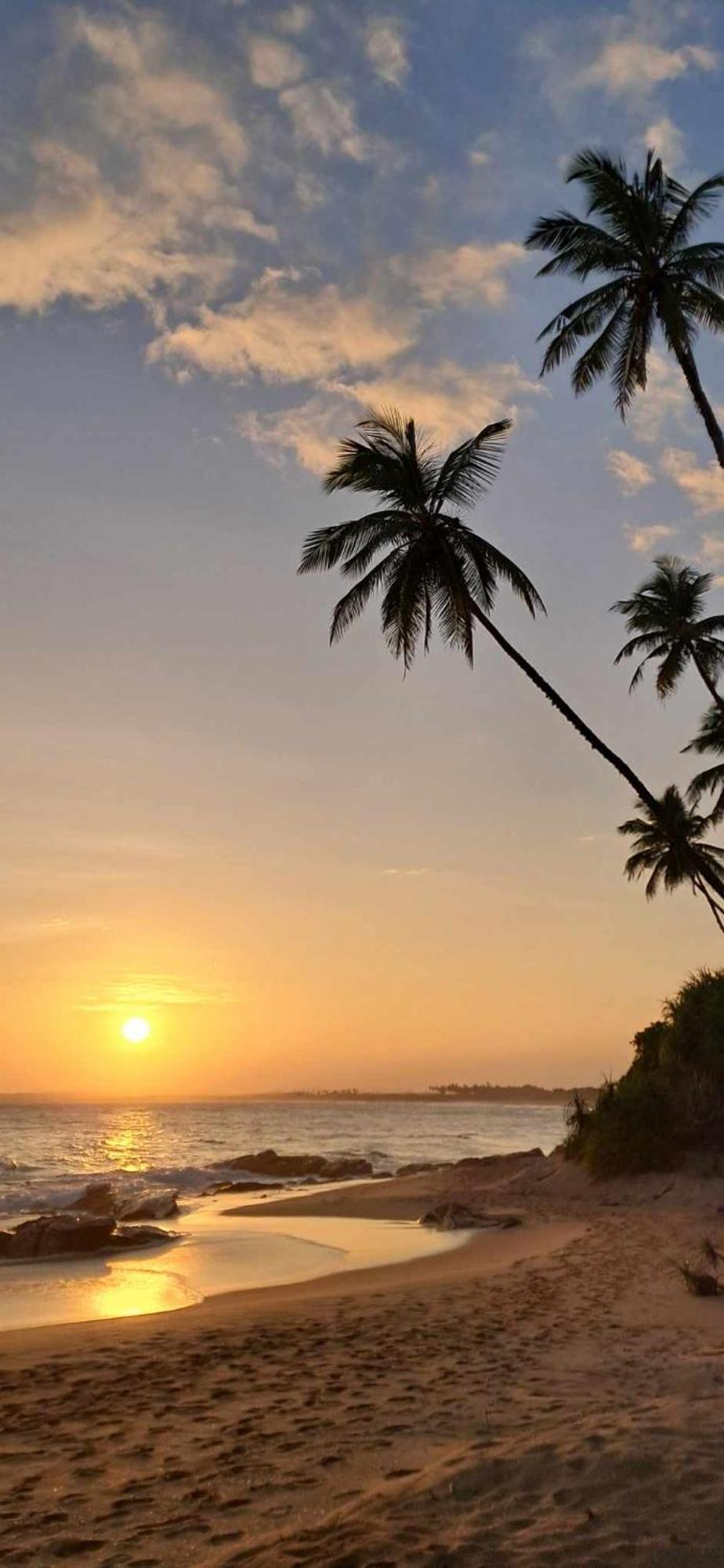 Coconut Tree Hill Rekawa Bed & Breakfast Tangalle Exterior foto