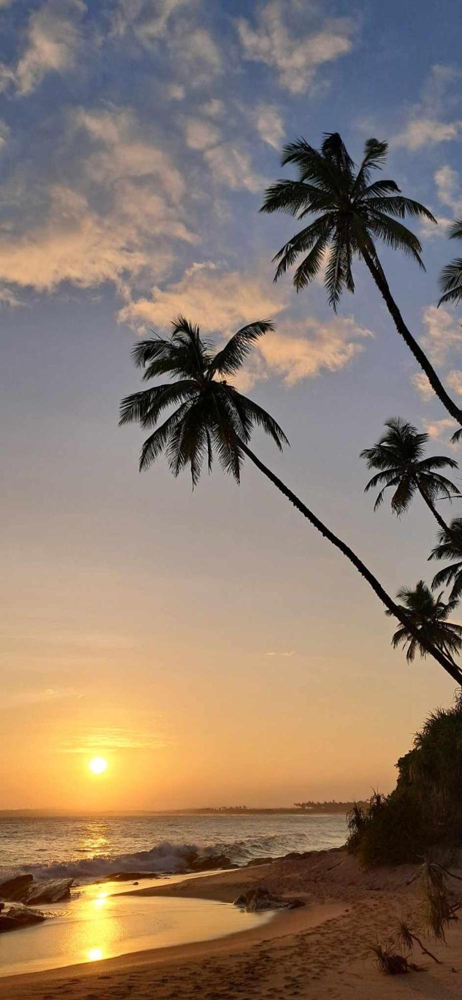 Coconut Tree Hill Rekawa Bed & Breakfast Tangalle Exterior foto