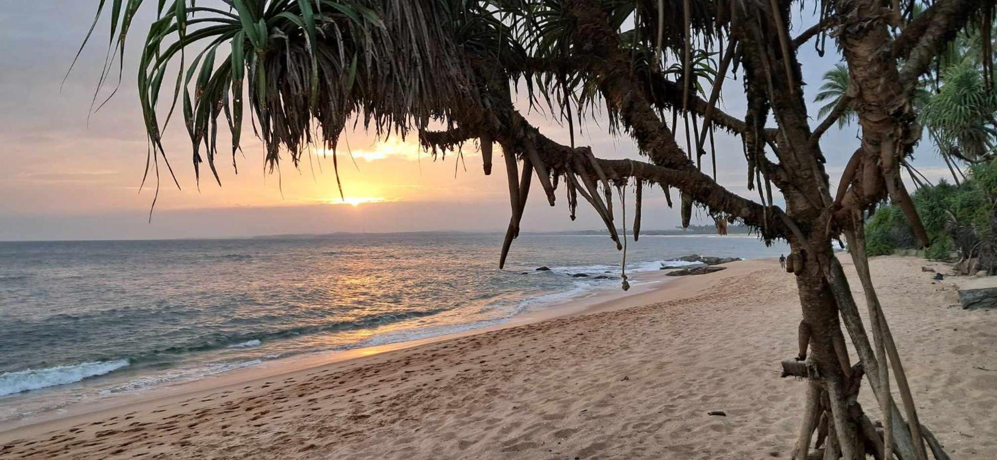 Coconut Tree Hill Rekawa Bed & Breakfast Tangalle Exterior foto