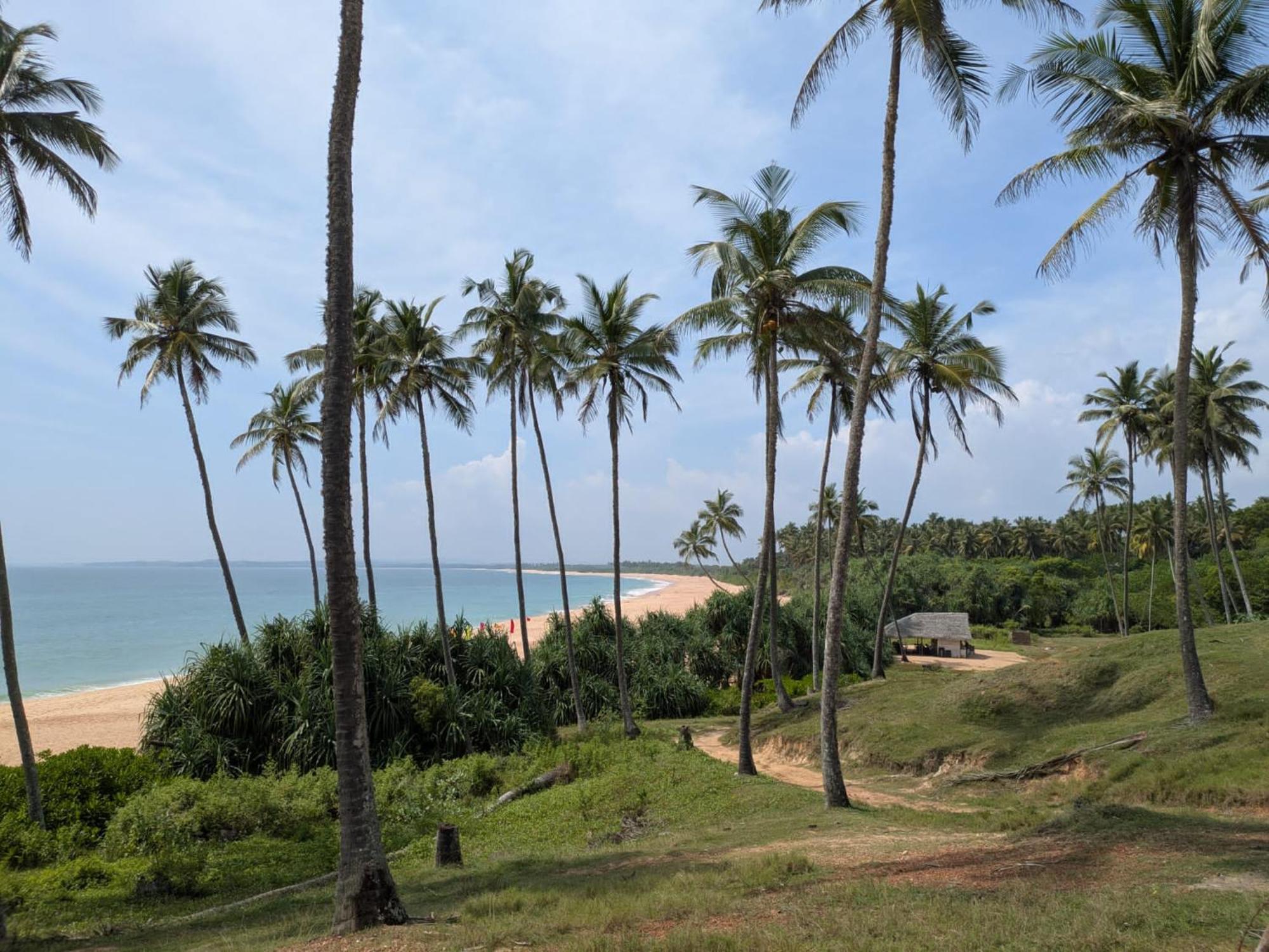 Coconut Tree Hill Rekawa Bed & Breakfast Tangalle Exterior foto